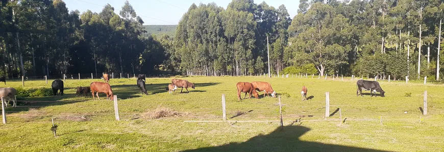 Foto 1 de Fazenda/Sítio com 2 Quartos à venda, 9075m² em Centro, General Câmara