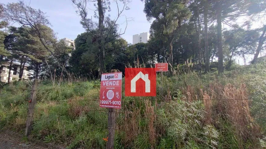 Foto 1 de Lote/Terreno à venda, 1290m² em Petrópolis, Caxias do Sul