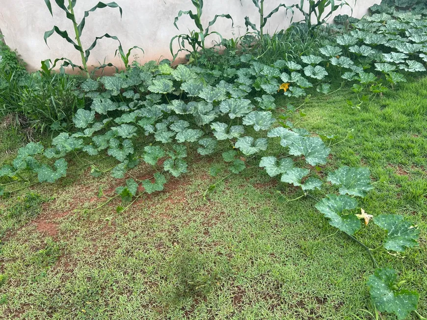 Foto 1 de Fazenda/Sítio à venda, 1200m² em Distrito Industrial II, Patos de Minas