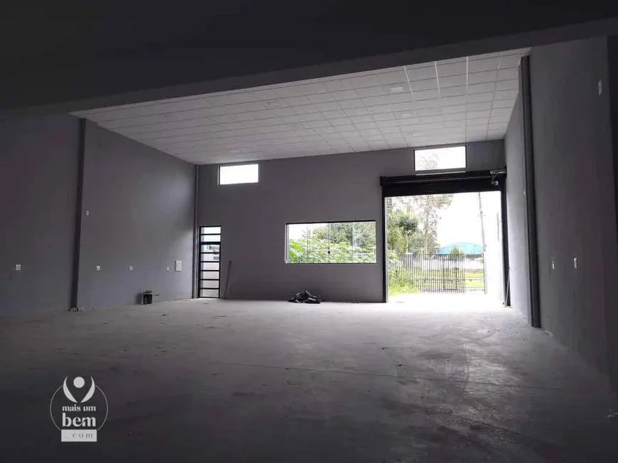 Foto 1 de Galpão/Depósito/Armazém à venda, 250m² em Vila Sao Cristovao, Piraquara