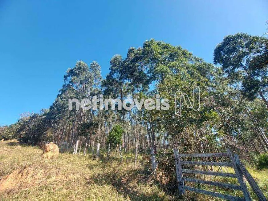 Foto 1 de Lote/Terreno à venda, 13000m² em Zona Rural, Piedade dos Gerais