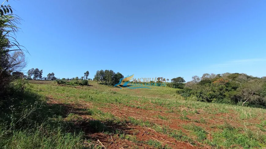Foto 1 de Fazenda/Sítio com 3 Quartos à venda, 65000m² em , Santa Tereza do Oeste