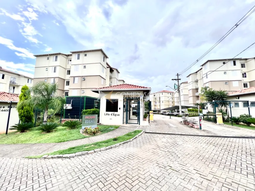 Foto 1 de Apartamento com 3 Quartos à venda, 56m² em Parque Jambeiro, Campinas