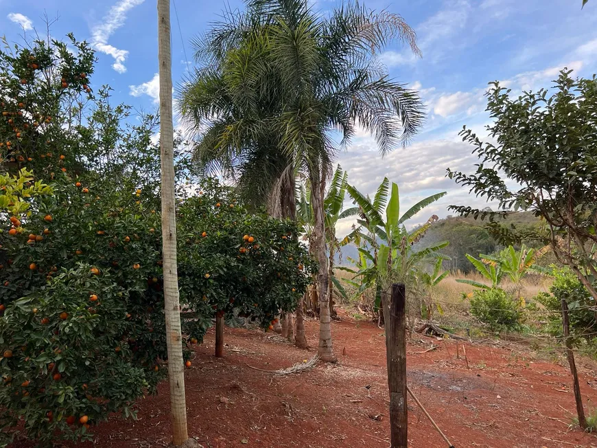 Foto 1 de Fazenda/Sítio com 3 Quartos à venda, 25000m² em Trajanopolis, Padre Bernardo