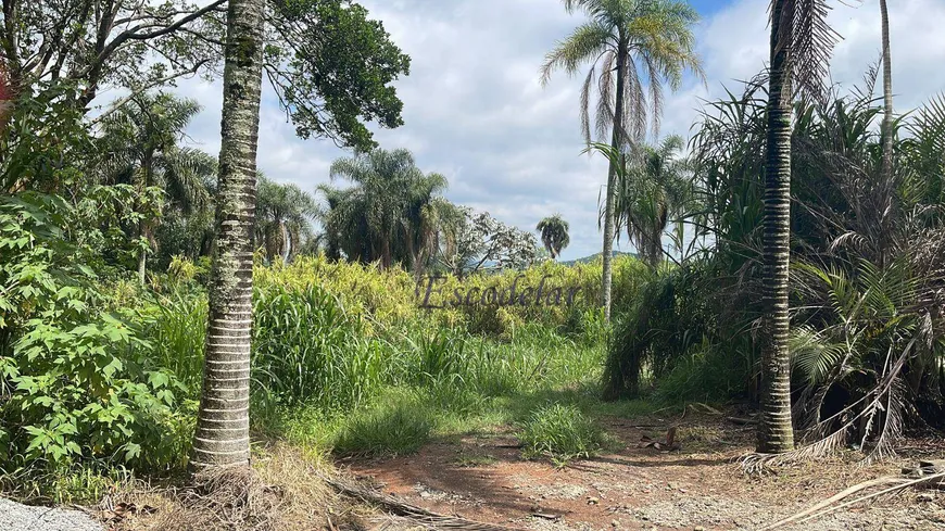 Foto 1 de Lote/Terreno à venda, 20000m² em Roseira, Mairiporã