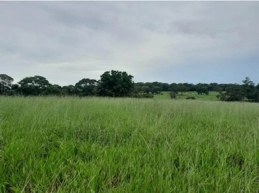 Foto 1 de Fazenda/Sítio à venda em Zona Rural, Nerópolis