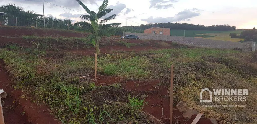 Foto 1 de Lote/Terreno à venda, 700m² em Parque Industrial Zona Oeste, Apucarana