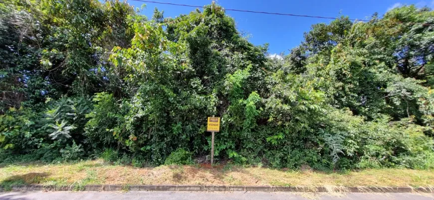 Foto 1 de Fazenda/Sítio à venda, 1940m² em Zona Rural, Bela Vista de Goiás