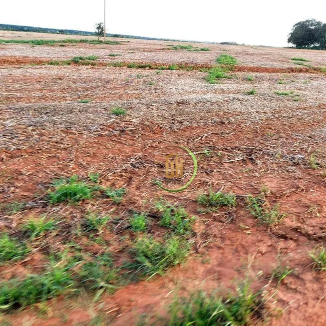 Foto 1 de Fazenda/Sítio à venda, 15972000m² em , Porto Nacional