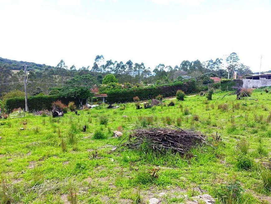 Foto 1 de Lote/Terreno à venda, 1000m² em Taipas de Pedra, São Roque