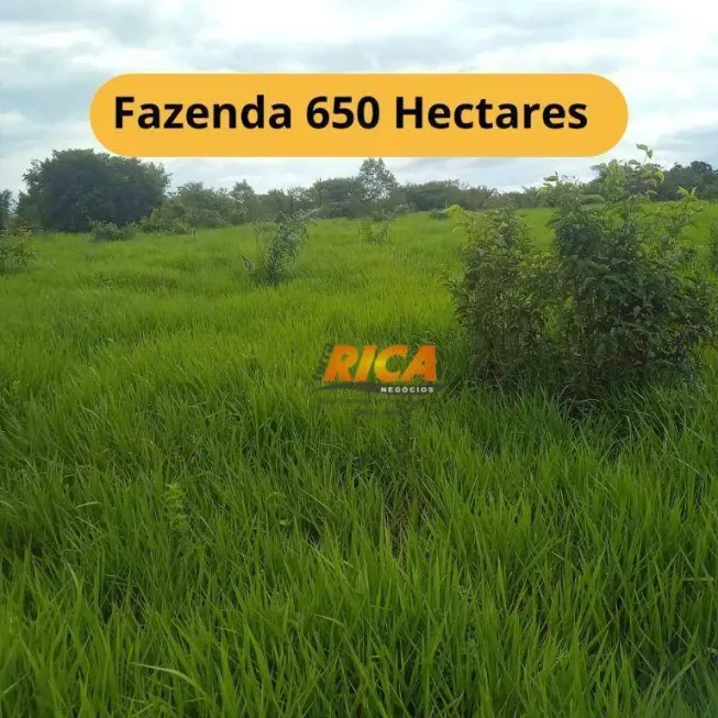 Foto 1 de Fazenda/Sítio à venda, 6500000m² em , Apuí