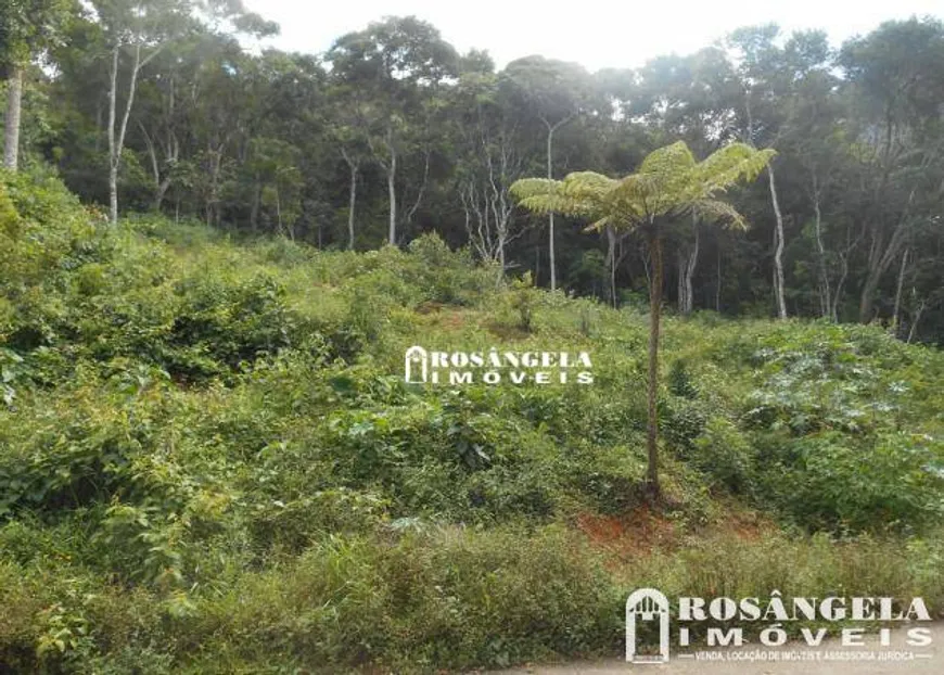 Foto 1 de Lote/Terreno à venda, 7000m² em Iúcas, Teresópolis