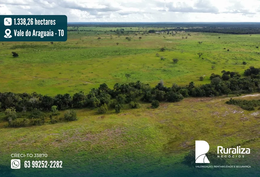 Foto 1 de Fazenda/Sítio à venda, 1338m² em Zona Rural, Santa Rita do Tocantins