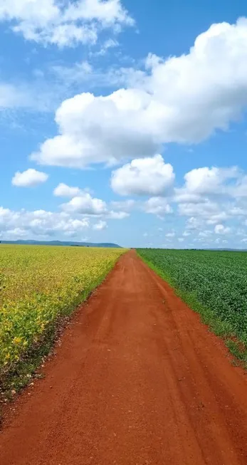 Foto 1 de Fazenda/Sítio à venda, 300m² em , Tocantínia