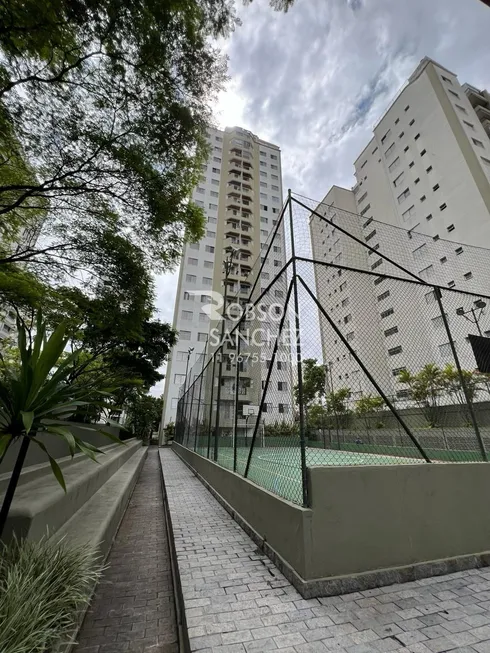 Foto 1 de Apartamento com 3 Quartos à venda, 65m² em Jardim Marajoara, São Paulo