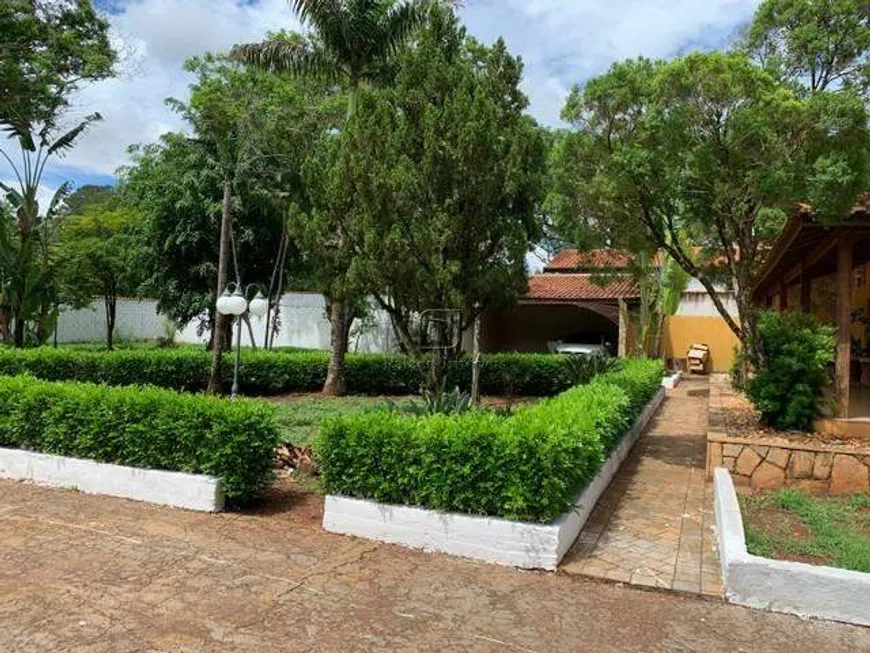 Foto 1 de Fazenda/Sítio com 3 Quartos à venda, 5000m² em Jardim José Figueira, Ribeirão Preto