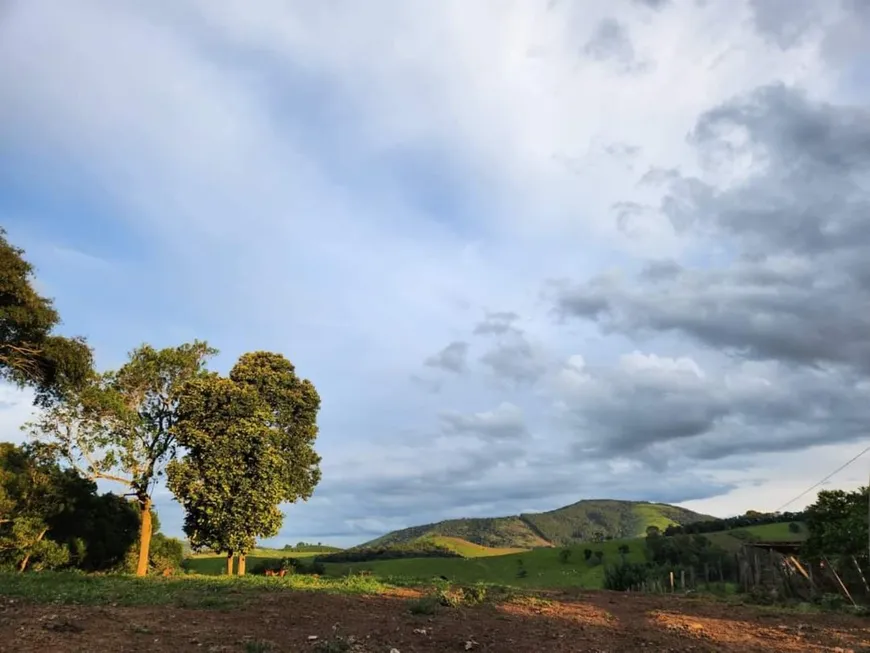 Foto 1 de Fazenda/Sítio com 1 Quarto à venda, 22000m² em , Silvianópolis