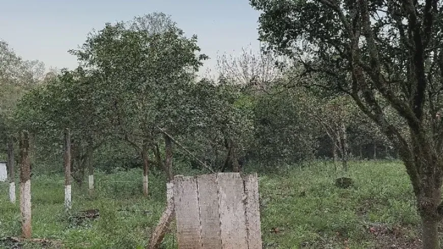 Foto 1 de Fazenda/Sítio com 4 Quartos à venda, 41m² em , Caraá