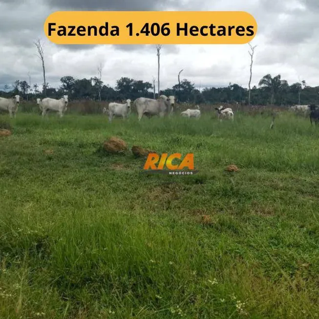 Foto 1 de Fazenda/Sítio com 2 Quartos à venda, 14060000m² em , Humaitá