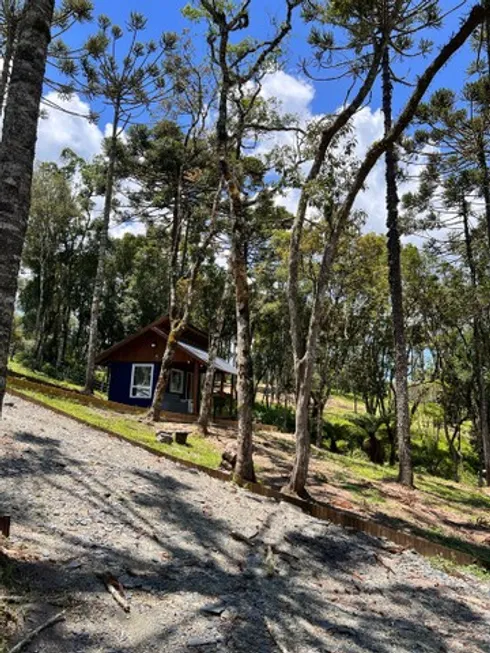 Foto 1 de Imóvel Comercial com 3 Quartos à venda, 20000m² em , Urubici