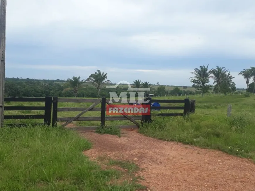 Foto 1 de Fazenda/Sítio à venda em Zona Rural, Araguaína