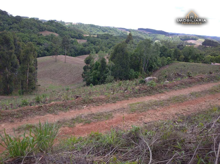 Foto 1 de Fazenda/Sítio com 2 Quartos à venda, 181500m² em Centro, Lapa