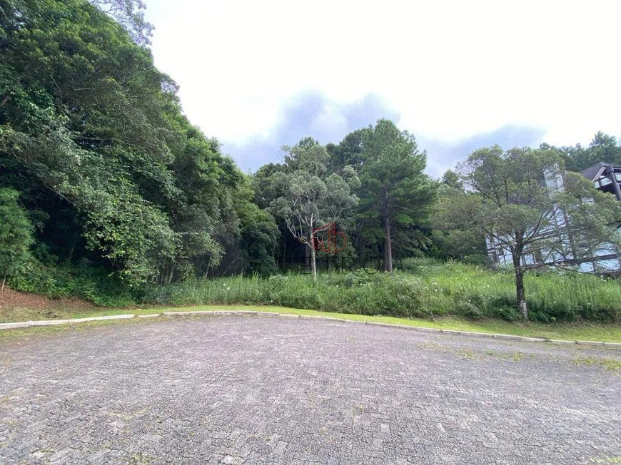 Foto 1 de Lote/Terreno à venda, 735m² em Vale das Colinas, Gramado