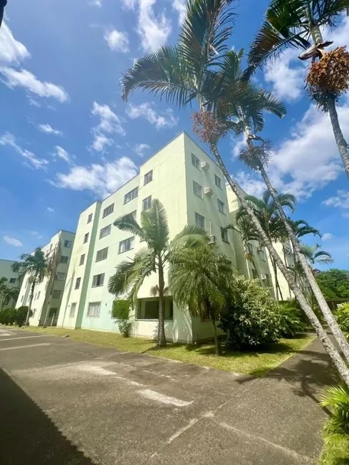 Foto 1 de Apartamento com 3 Quartos para alugar, 65m² em Itaum, Joinville
