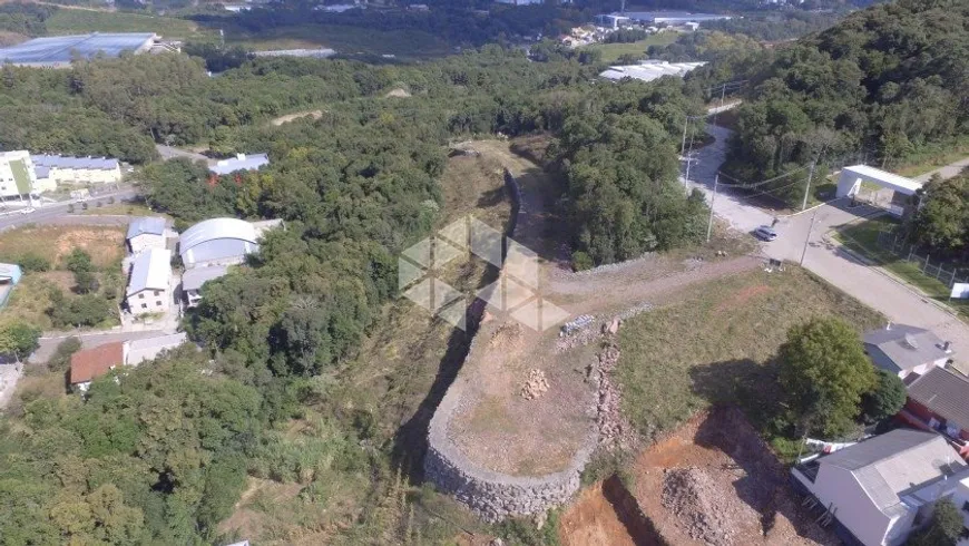 Foto 1 de Lote/Terreno à venda, 258m² em Verona, Bento Gonçalves