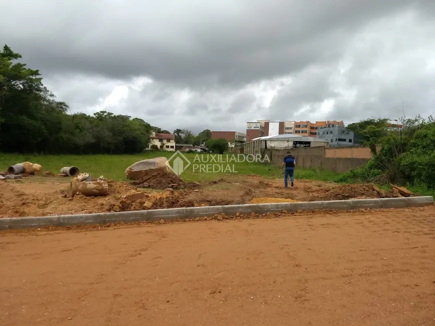 Foto 1 de Lote/Terreno à venda, 5911m² em Martinica, Viamão