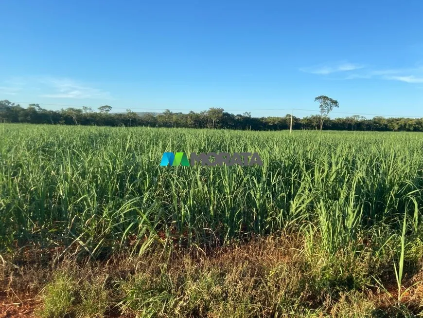 Foto 1 de Fazenda/Sítio com 1 Quarto à venda, 31m² em Zona Rural, Paraopeba