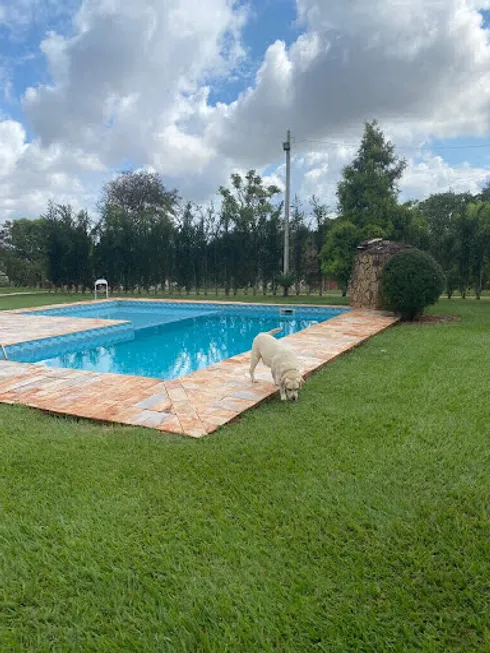 Foto 1 de Fazenda/Sítio com 5 Quartos para alugar, 24000m² em Jardim Vale Verde, Londrina