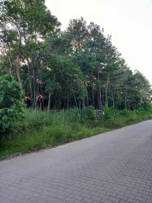 Foto 1 de Lote/Terreno à venda, 300m² em Campestre, São Leopoldo