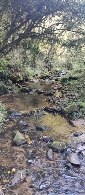 Foto 1 de Lote/Terreno à venda, 24200m² em Zona Rural, Marmelópolis