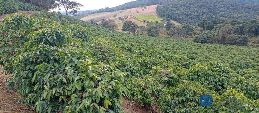 Foto 1 de Fazenda/Sítio com 2 Quartos à venda, 120000m² em Zona Rural, São João da Mata