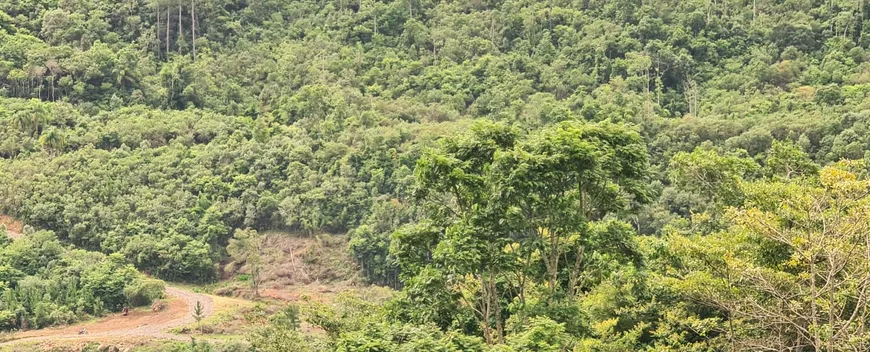 Foto 1 de Fazenda/Sítio à venda, 20000m² em Aguas Frias, Alfredo Wagner