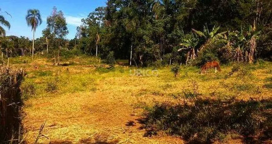 Foto 1 de Lote/Terreno à venda, 5100m² em Jardim das Minas, Itupeva