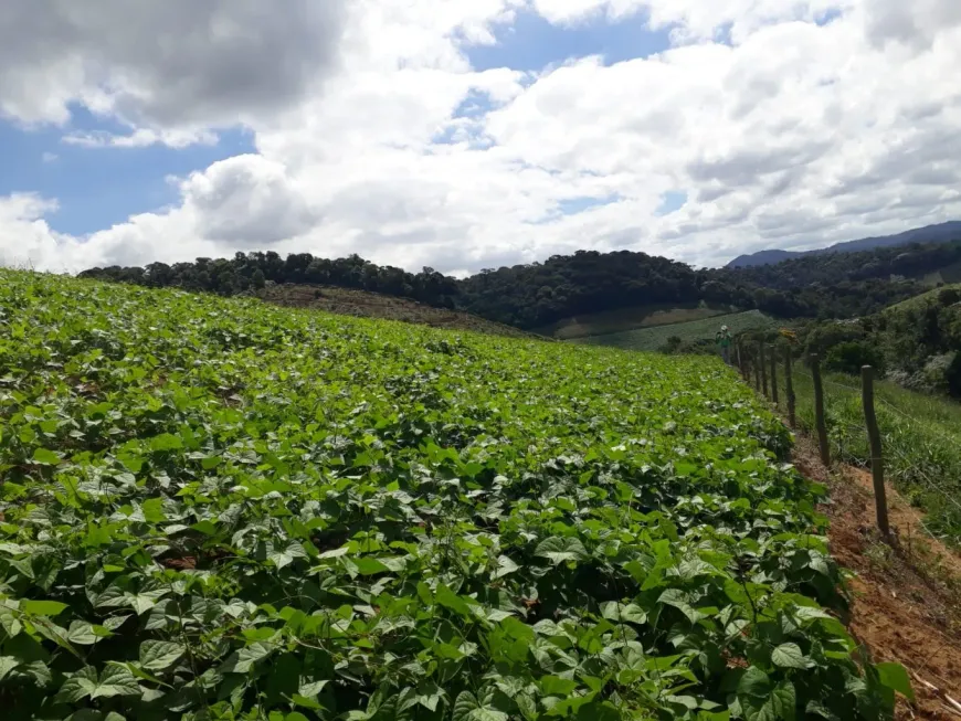 Foto 1 de Fazenda/Sítio com 4 Quartos à venda, 150m² em , Santa Maria de Jetibá