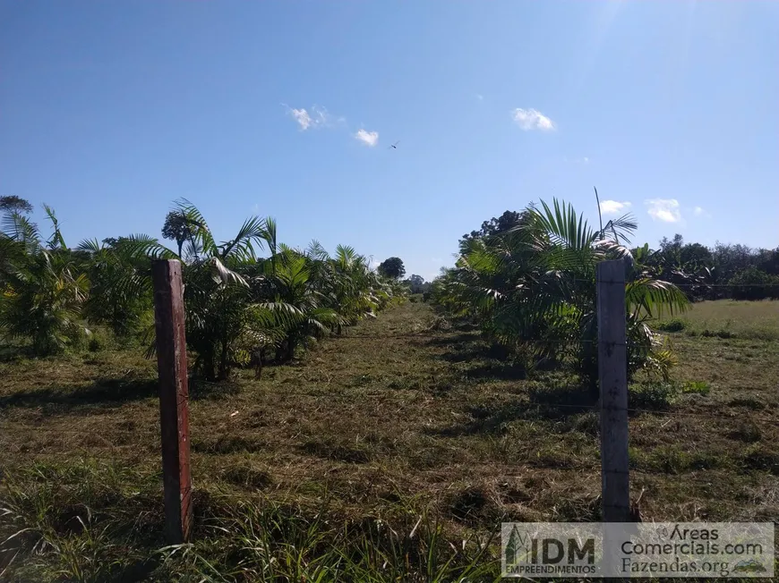 Foto 1 de Lote/Terreno à venda, 500000m² em Centro, Autazes