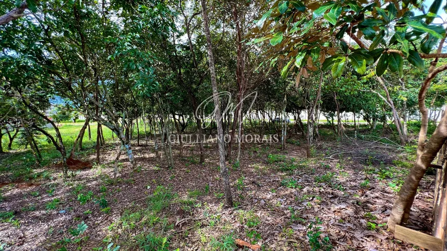 Foto 1 de Lote/Terreno à venda, 1183m² em Residencial Villa Verde , Senador Canedo