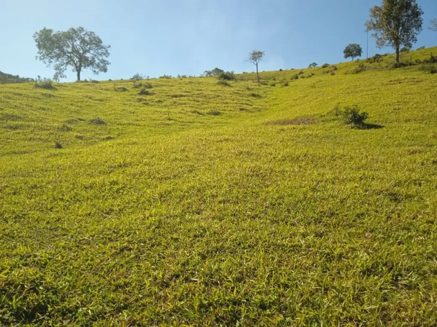 Foto 1 de Lote/Terreno à venda, 360000m² em Zona Rural, Piedade dos Gerais