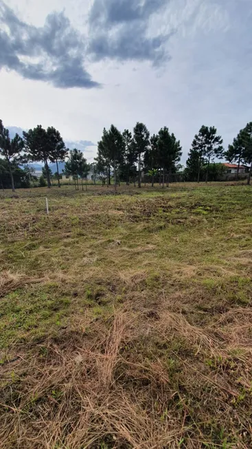 Foto 1 de Lote/Terreno à venda, 350m² em Passagem de Maciambu Ens Brito, Palhoça