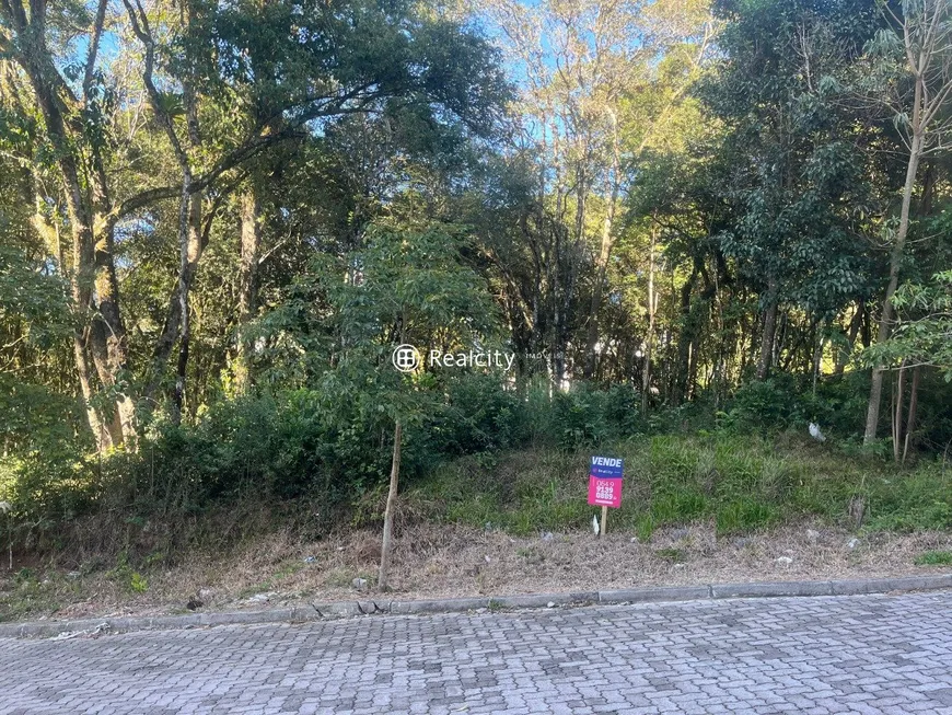 Foto 1 de Lote/Terreno à venda, 388m² em Borgo, Bento Gonçalves