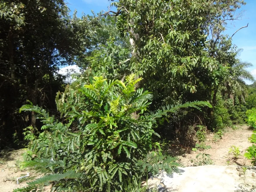 Foto 1 de Lote/Terreno à venda, 7500m² em , Brumadinho