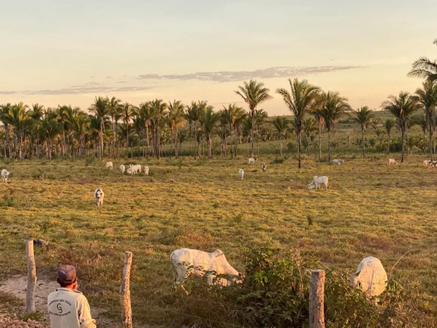 Foto 1 de Fazenda/Sítio à venda, 2000m² em Ponta Negra, Natal