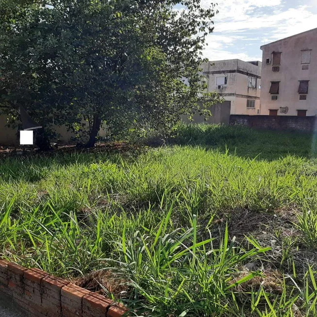 Foto 1 de Lote/Terreno à venda, 450m² em Jardim Vivendas, São José do Rio Preto