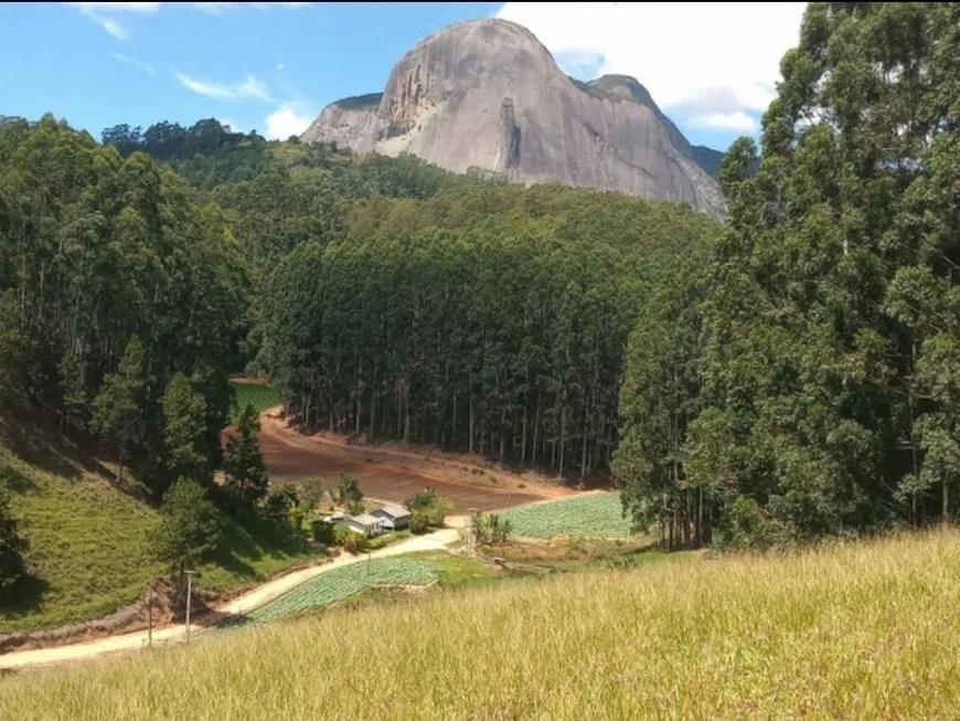 Foto 1 de Lote/Terreno à venda, 30000m² em Centro, Domingos Martins