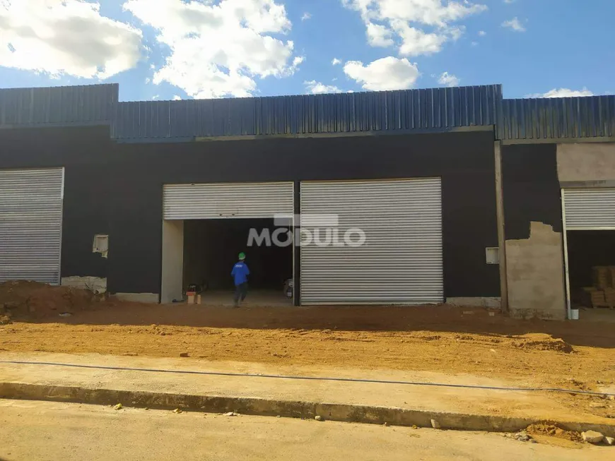 Foto 1 de Galpão/Depósito/Armazém à venda, 216m² em Shopping Park, Uberlândia