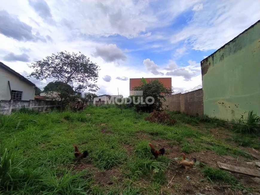 Foto 1 de Lote/Terreno à venda, 520m² em Presidente Roosevelt, Uberlândia