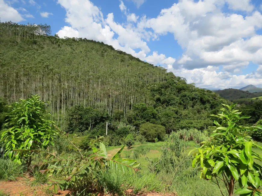 Foto 1 de Fazenda/Sítio com 1 Quarto à venda, 15000m² em Secretário, Petrópolis